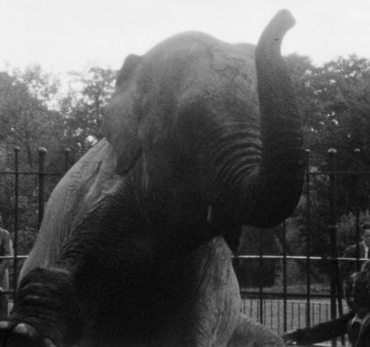 WATCH: A school trip to the Dublin Zoo nearly 100 years ago
