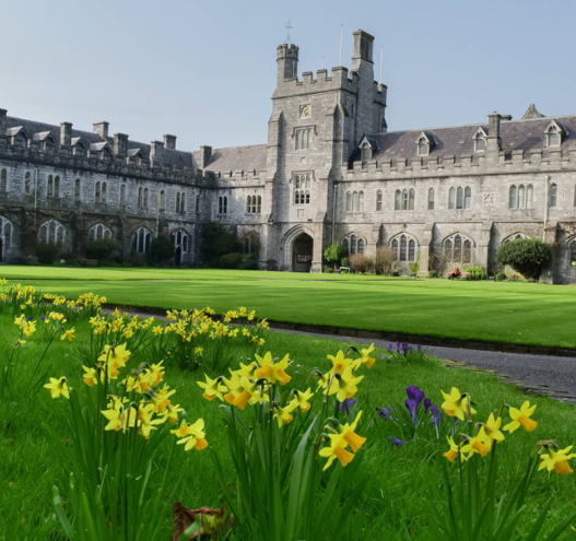Explore the world of Gaelic Literature and Culture with University College Cork's online course