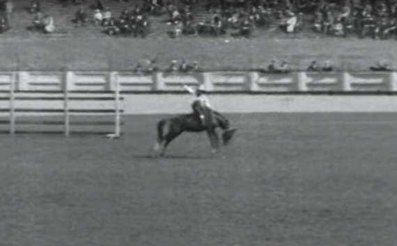 When the rodeo came to Dublin's Croke Park in 1924