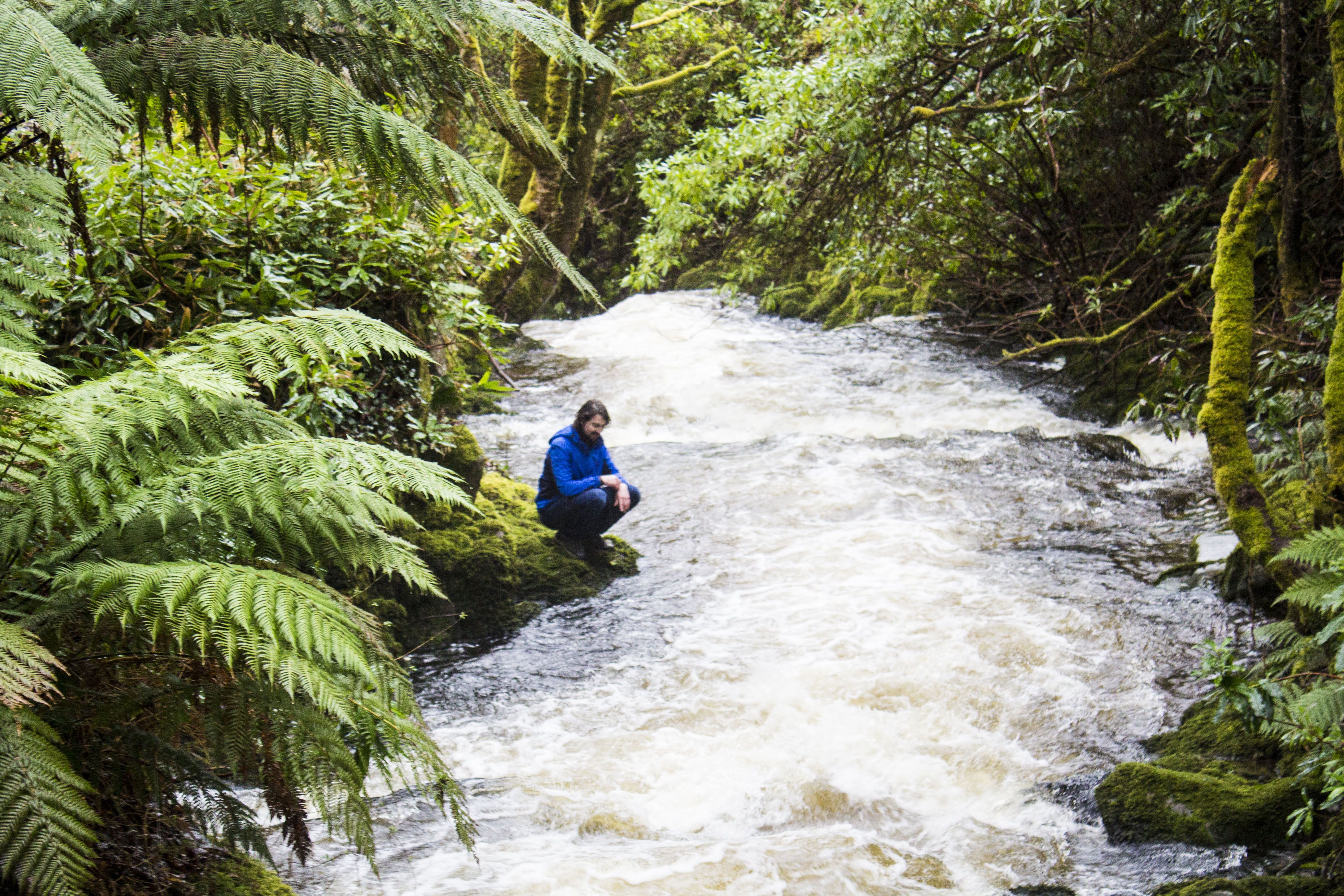 Ireland's top ten hikes for Take a Hike Day