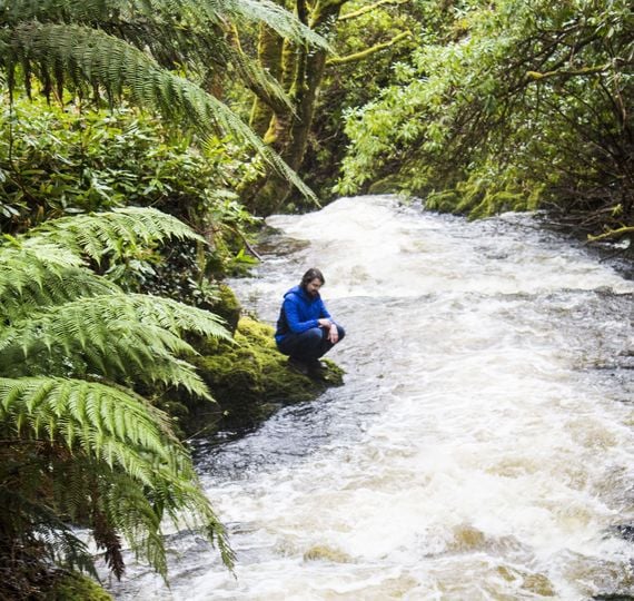 Ireland's top ten hikes for Take a Hike Day