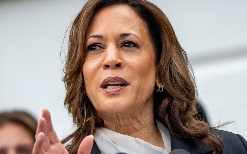 Does Kamala Harris have Irish roots? It is possible but not proven