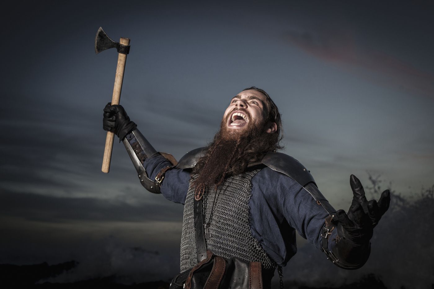 Scientists raid DNA to explore Vikings' genetic roots