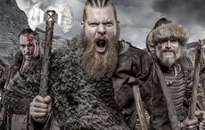 DNA evidence shows how well Irish integrated with Vikings