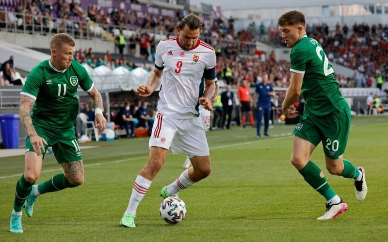 Ирландия венгрия. Прогноз на матч Венгрия Ирландия. James Shea Football.