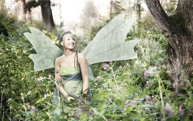 Leanan Sidhe is one of Ireland’s mythological vampires