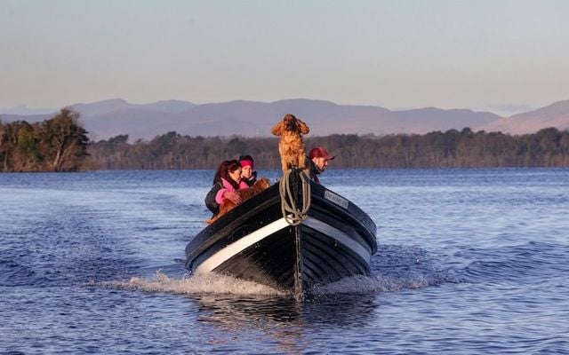 Take a boat and explore the ruins of a 7th century monastery on Innisfallen Island.