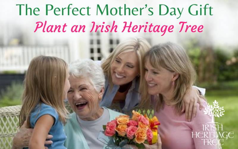 Irish Heritage Trees Mother's Day sale