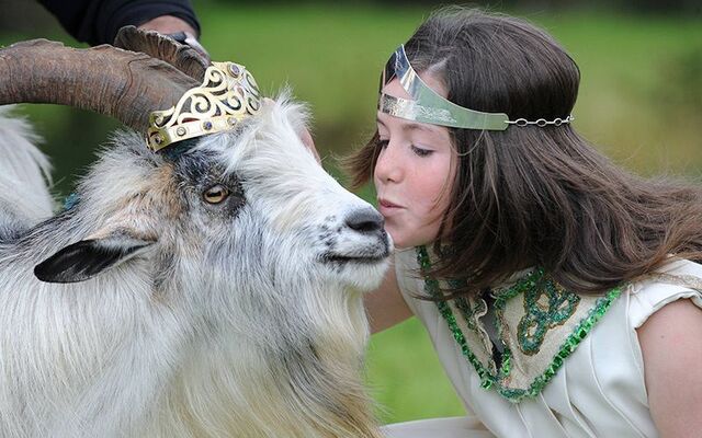 Puck Fair Queen kissing King Puck during the annual festival.