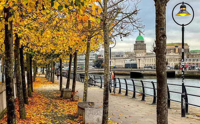 Autumnal leaves by the River Liffey, Dublin City.