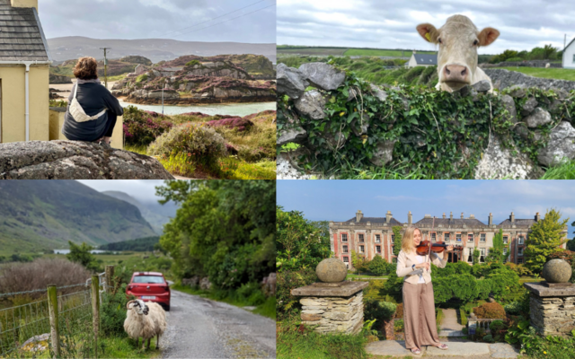 Vote for your favorite in My Irish Cousin\'s photo competition! 