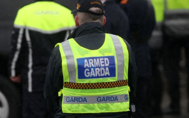 Togher Gardaí and the Armed Response Unit responded to the dog attack in Co Cork on June 6.