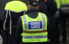 Gardaí in Co Cork shoot pit bull terrier after it attacked people