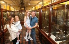 Ireland's Natural History Museum to close for several years for major renovations
