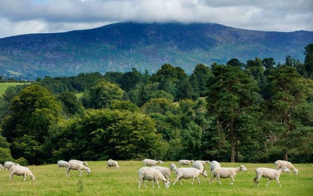 The Blackstairs Mountains from County Carlow.