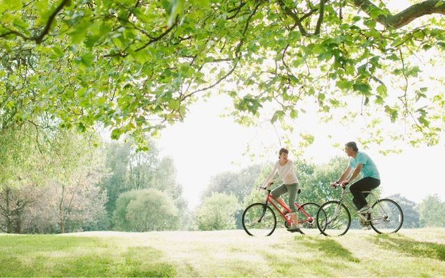 On your bike! Get to know another side of Dublin.