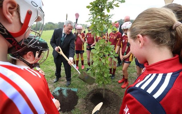 An oak tree was planted in Phoenix Park by Kieran O\'Donnell TD, Minister for the OPW,  to symbolize the strong link between Gaelic games and the park.