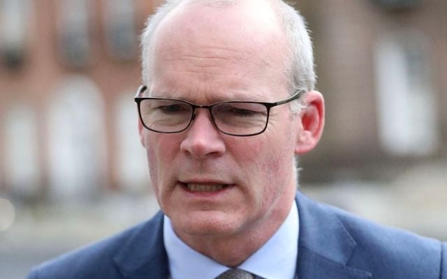 TD Simon Coveney, pictured here in February 2024.