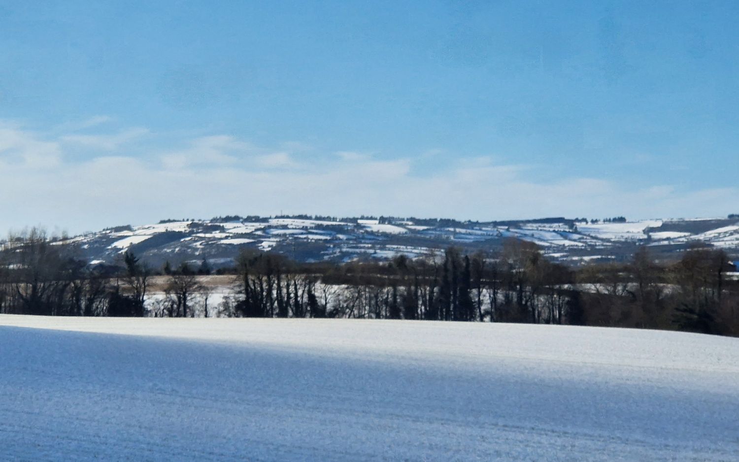 "If this isn’t a red warning, what is?" - Politician critical of Irish meteorological service as Ireland braces for coldest day