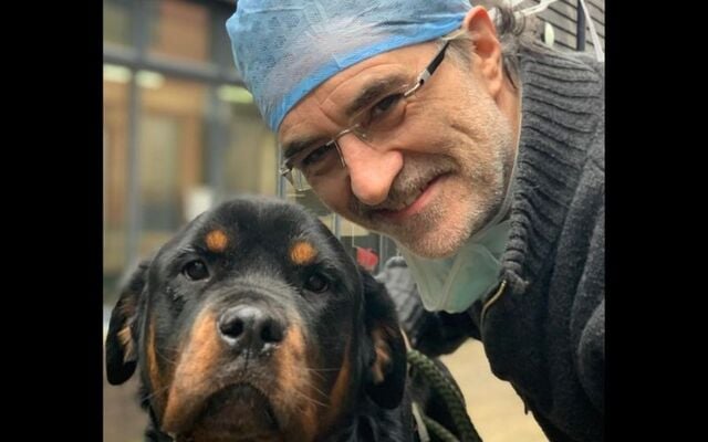 Professor Noel Fitzpatrick, known as the Supervet.