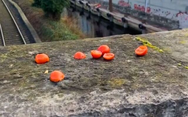 The now famous cherry tomato bridge in Drumcondra, Dublin.