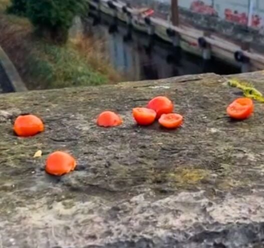 Dublin's viral 'Cherry Tomato Bridge' to be cleaned daily by City Council