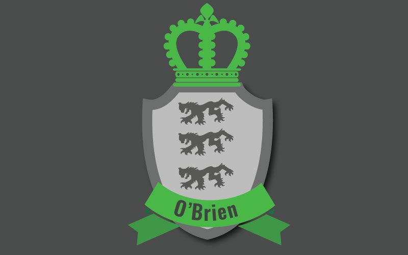 Brandon Name Meaning, Family History, Family Crest & Coats of Arms