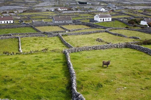 Dry stone walls: \"You can readily see through these old \"dry\" ones where no plaster was used at all, just the powerful sleight of the hands of mountainy men.\"