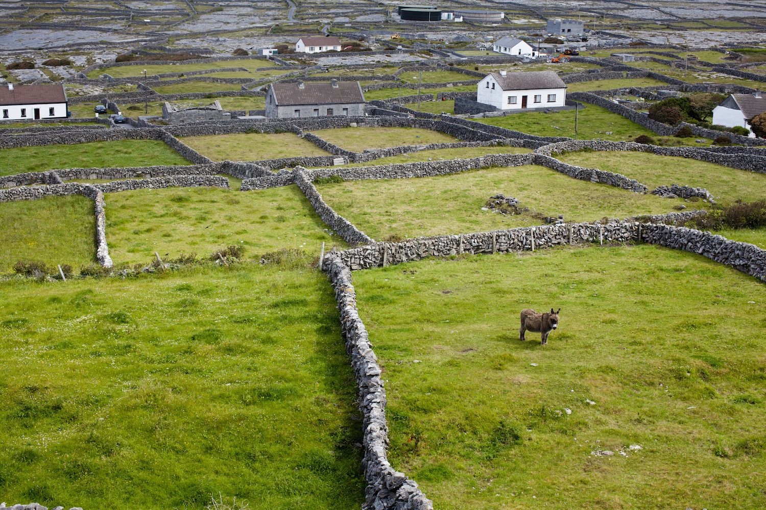 A history in Ireland s dry stone walls