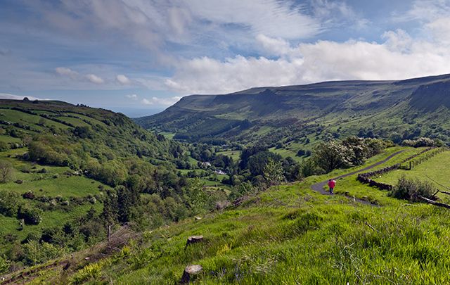 Get ready for St. Patrick’s Day and invest in a special plot of land in ...