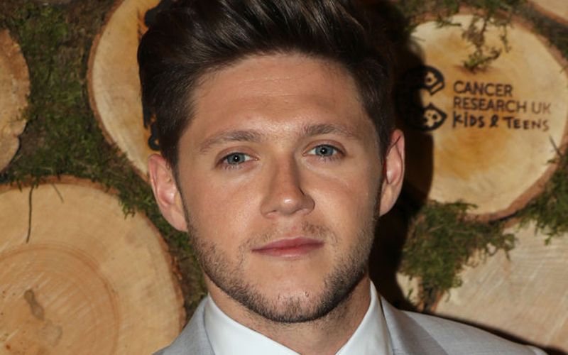 Niall Horan 2018 Net Worth May Not Survive His Spending Irishcentral Com