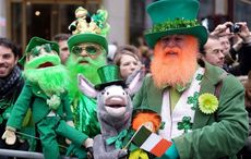 Best Cities to Celebrate St. Patrick's Day – Niche Blog