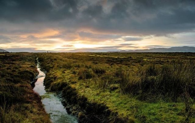 Have you ever tried making your own bog butter in Ireland?