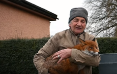 Patsy Gibbons rescued foxes and now they're best of friends