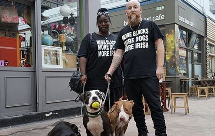 more irish more blacks more dogs