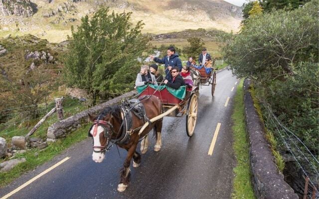 A jarveys (horse and carts) in Killarney National Park, in County Kerry.