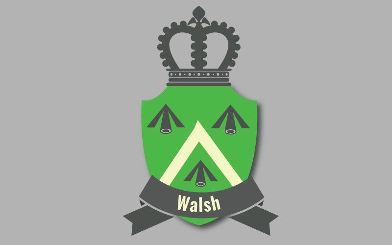 Tracing Your Irish Ancestry The Walsh Clan