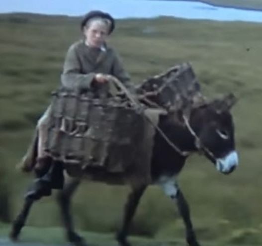 WATCH: Forgotten Ireland, captured on 16mm film 70 years ago