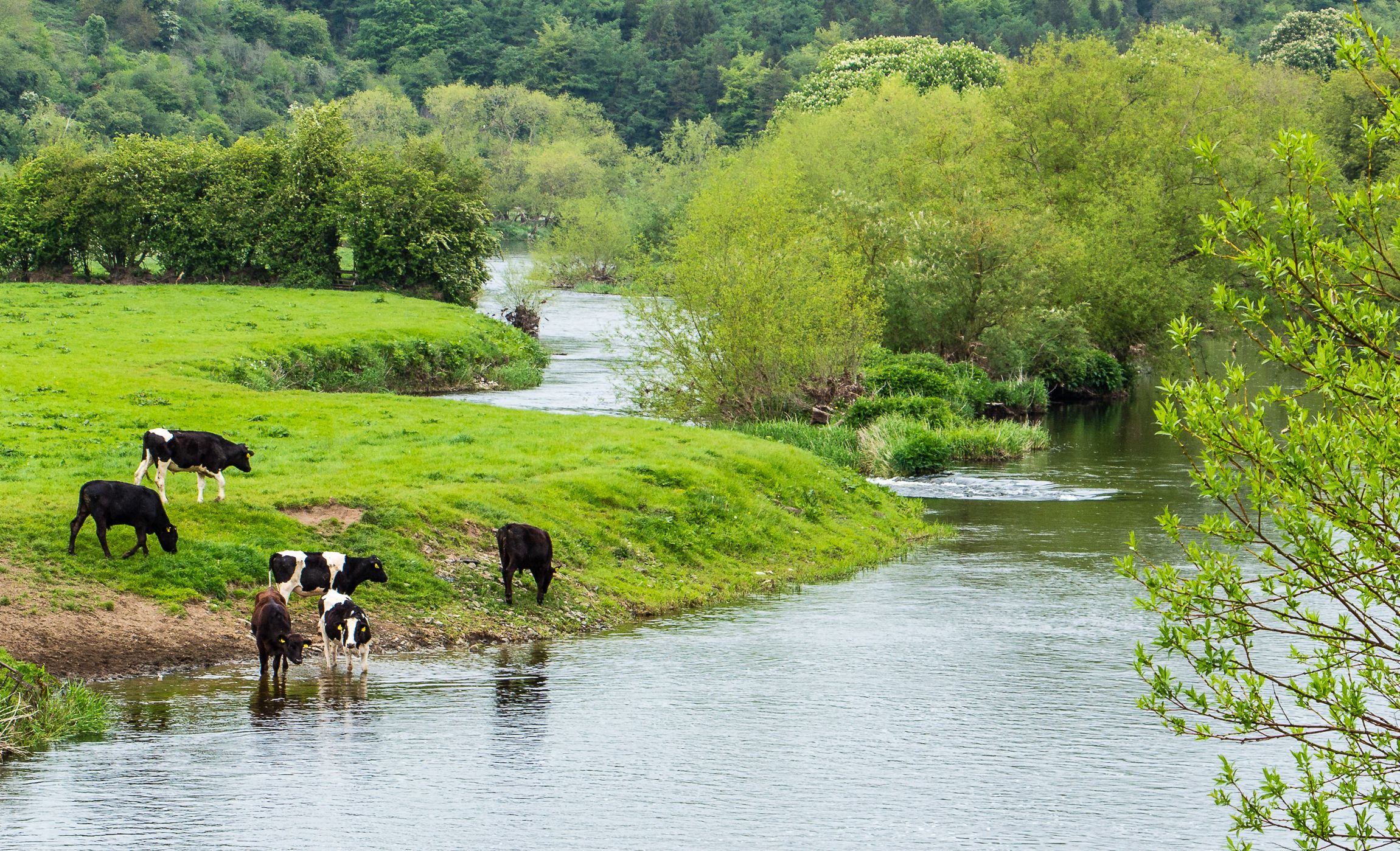 Navan, County Meath - more than 