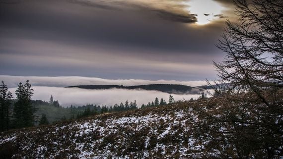 farms to visit in offaly