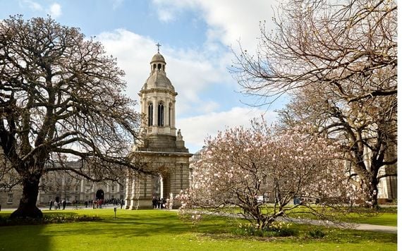 The quad in Trinity College.