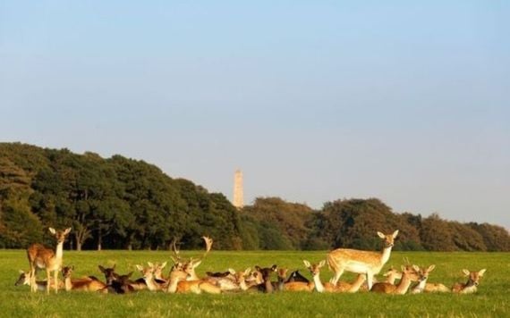 Phoenix Park – Co.Dublin