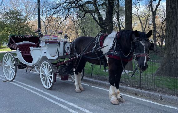 Can an EV Really Replace Central Park's Horse-Drawn Carriages?