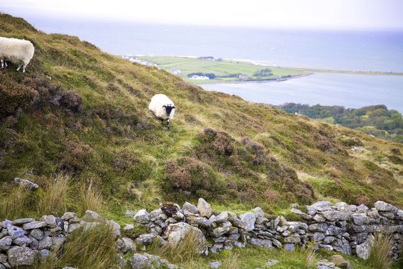 A history in Ireland s dry stone walls