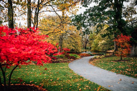 Fall in Ireland: Where to visit the colors of autumn