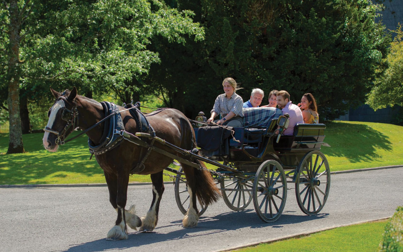 Killarney Jaunting Car, Co Kerry