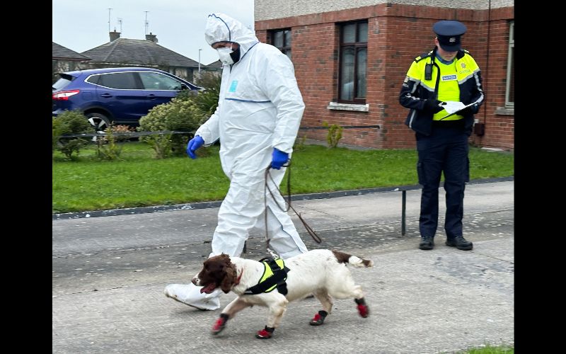 December 12, 2024: Searches at a property in Drogheda, supported by forensic teams and a cadaver dog. (RollingNews.ie)