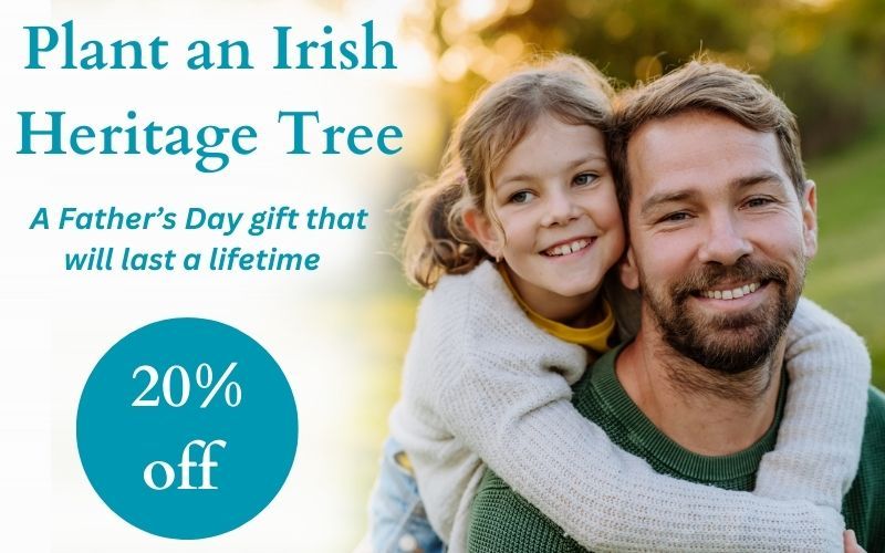 Plant a native tree in Ireland this Father's Day