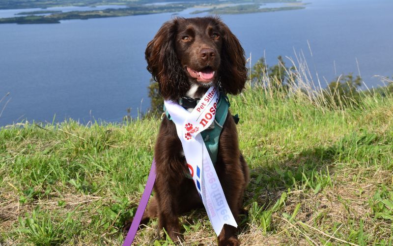 Florence represented Co Fermanagh at the 2023 Nose of Tralee.