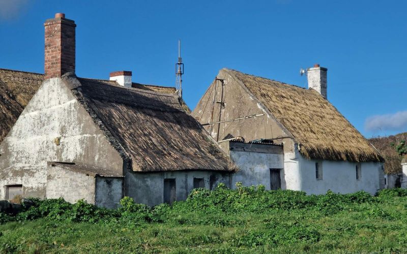 Thatched cottages, Clogherhead, Co Louth. (Ireland's Content Pool)